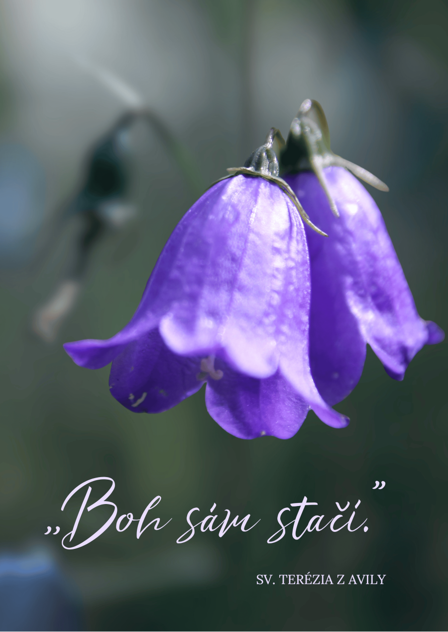 MODLITBA ZA DUCHOVNÉ POVOLANIA 7